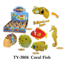 Funny Coral Fish Toy